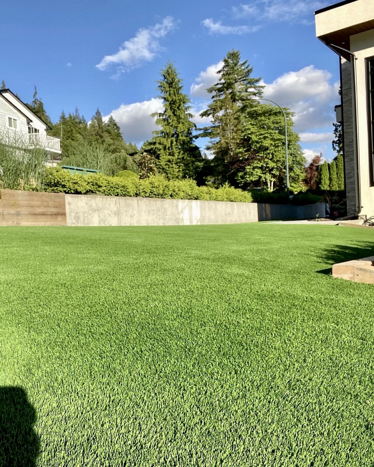 Synthetic grass in Port Moody, installed by Benjamin Landscaping and projects.