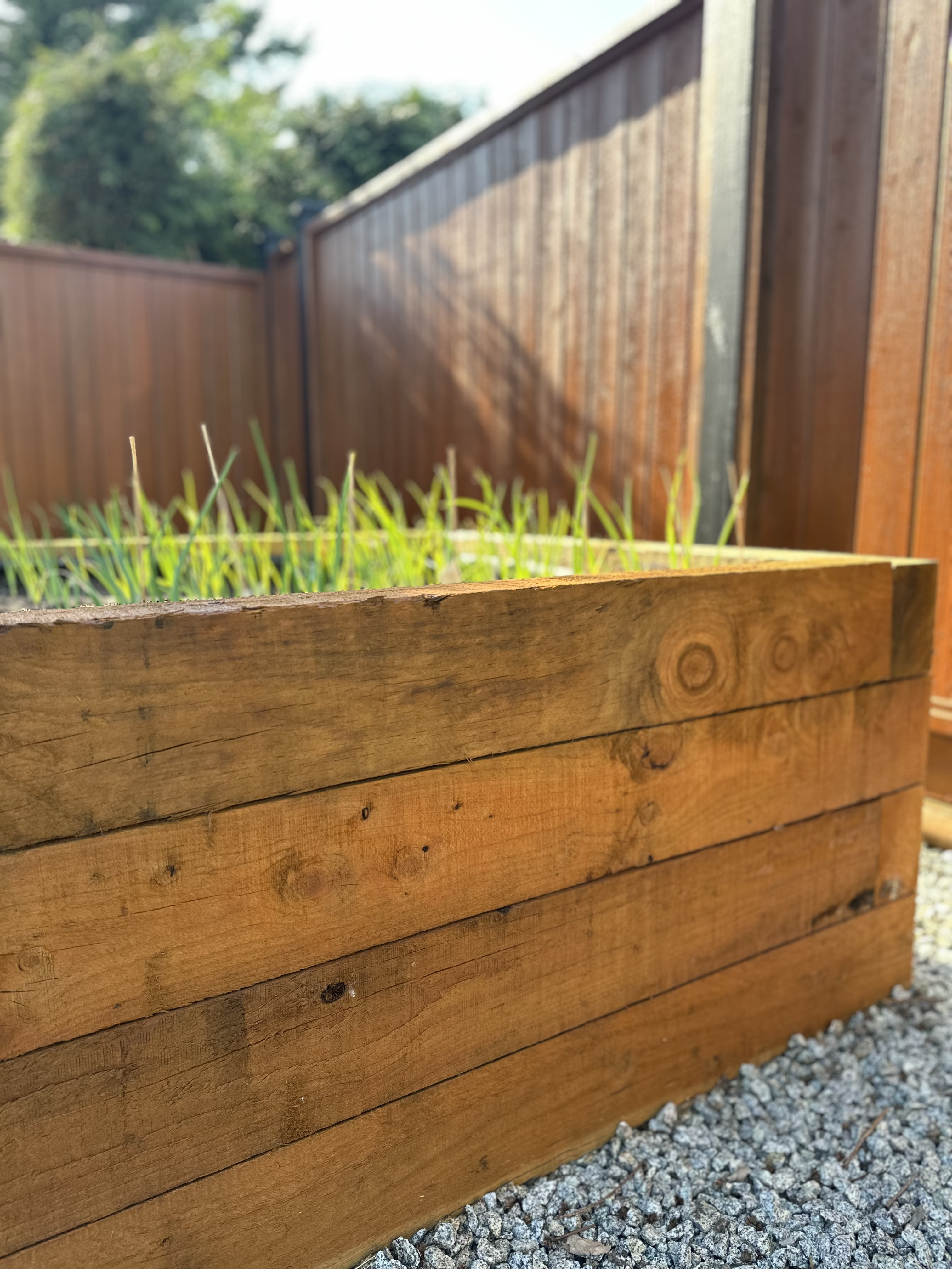Garden Boxes in Maple Ridge built by Benjamin Landscaping and Projects. 