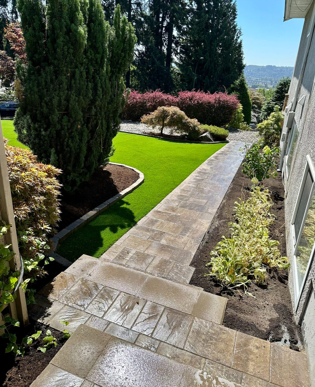 Landscaping in Coquitlam, Artificial Turf and Paver walkways by Benjamin Landscaping and Projects.  