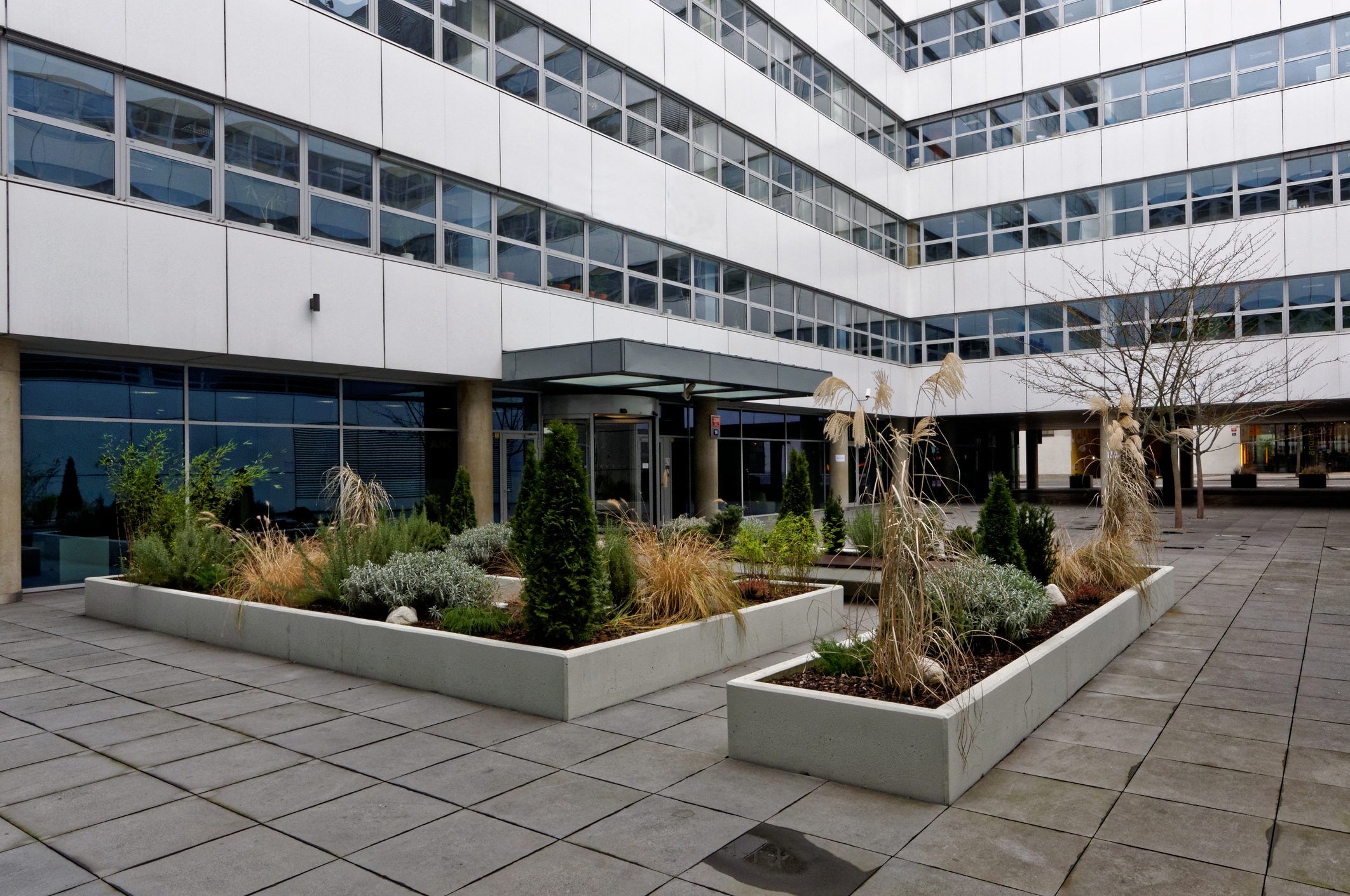 Courtyard concrete walls Vancouver