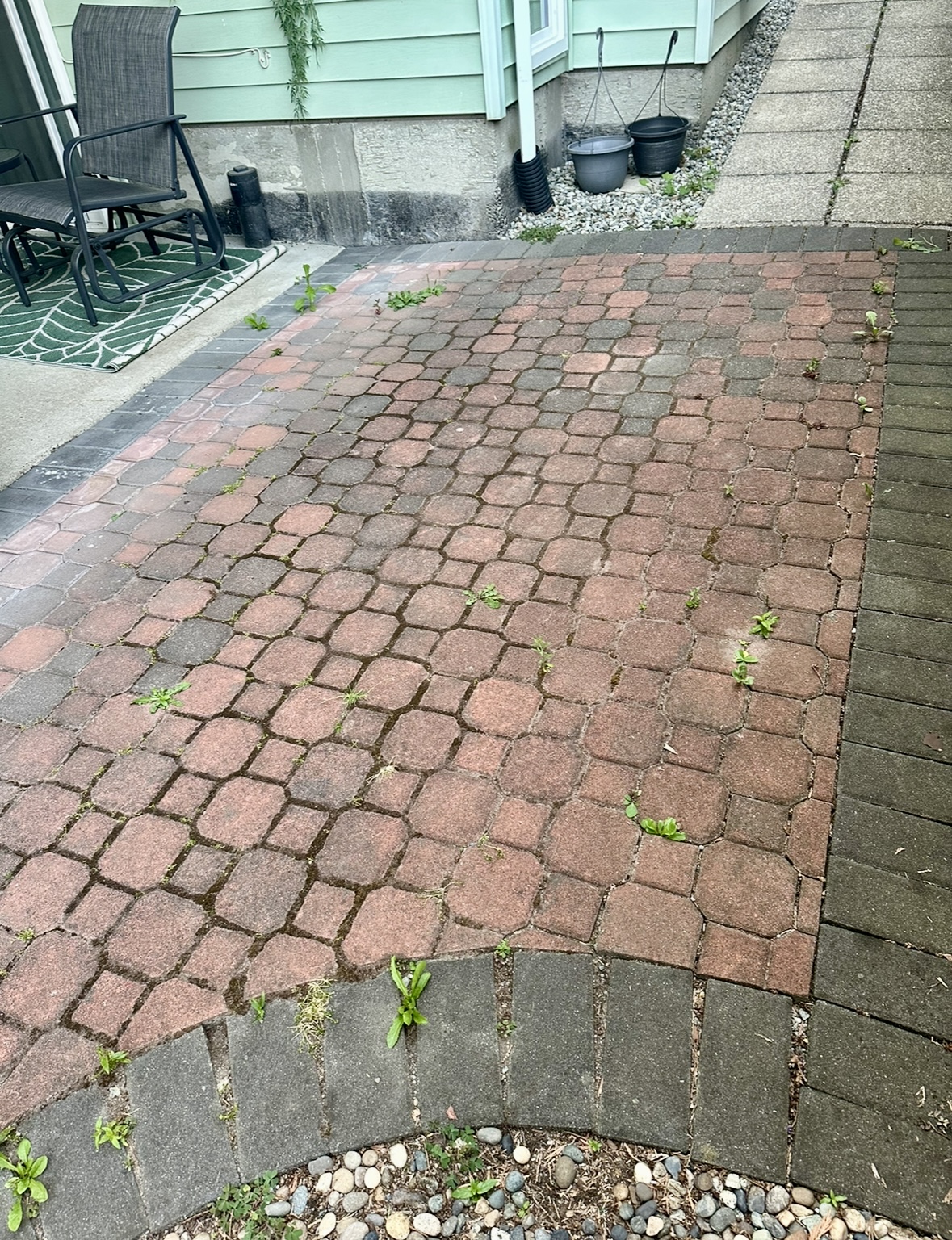 Old pavers with weeds can be re levelled, re jointed and cleaned.