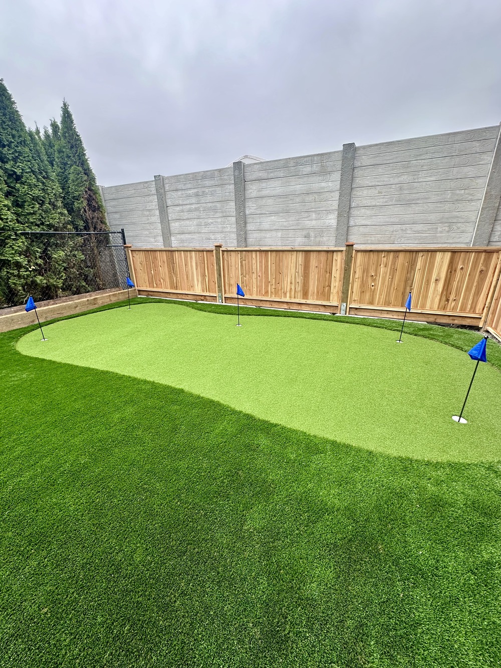 Artificial Turf Putting green in Langley by Benjamin Landscaping and Projects.