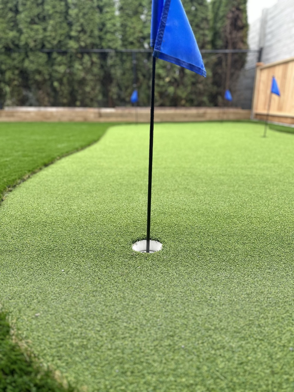 Putting green in Maple Ridge by Benjamin Landscaping