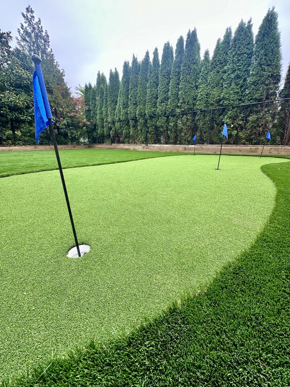 Artificial Turf Putting green in Langley by Benjamin Landscaping and Projects.